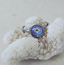 Load image into Gallery viewer, 2DPtswyj1t