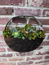 Load image into Gallery viewer, IMG_5865