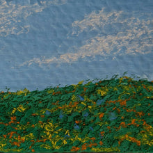 Load image into Gallery viewer, memory - cat hellxia - atrium 916