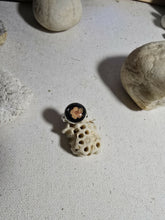 Load image into Gallery viewer, 1000043167