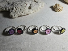 Load image into Gallery viewer, 1000043173