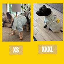 Load image into Gallery viewer, Tami's Infinite Designs - Dog Jackets