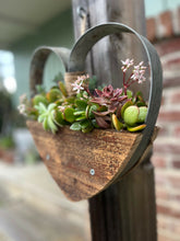 Load image into Gallery viewer, IMG_5854