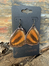 Load image into Gallery viewer, Stone Goblin Studios - Real Butterfly Wing Earrings - hypoallergenic