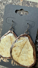 Load image into Gallery viewer, Stone Goblin Studios - Real Butterfly Wing Earrings - hypoallergenic