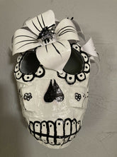 Load image into Gallery viewer, IMG_6137