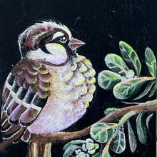 Load image into Gallery viewer, Bubbles and Bright Colors - Island Bird - Atrium 916