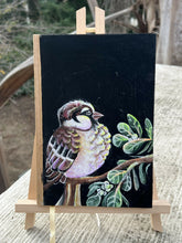 Load image into Gallery viewer, IMG_1036