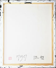 Load image into Gallery viewer, 18-42B