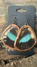 Load image into Gallery viewer, Stone Goblin Studios - Blue and Black Butterfly Wing Earrings - hypoallergenic