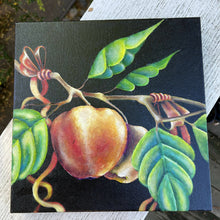 Load image into Gallery viewer, Bubbles and Bright Colors - Wall Art, , Atrium 916 - Sacramento.Shop, Atrium 916 - Sacramento.Shop