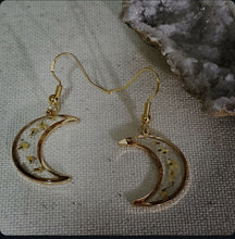 Load image into Gallery viewer, 1000052196