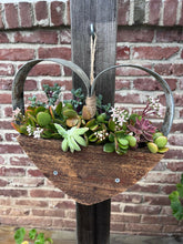 Load image into Gallery viewer, IMG_5852