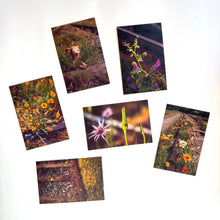 Load image into Gallery viewer, Maria Canta - Photography