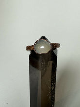 Load image into Gallery viewer, IMG_7731