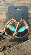 Load image into Gallery viewer, Stone Goblin Studios - Blue and Black Butterfly Wing Earrings - hypoallergenic