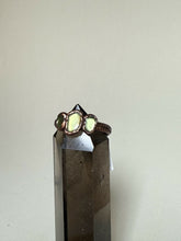 Load image into Gallery viewer, IMG_7700