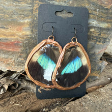 Load image into Gallery viewer, Stone Goblin Studios - Blue and Black Butterfly Wing Earrings - hypoallergenic