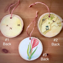 Load image into Gallery viewer, IMG_6161