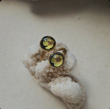 Load image into Gallery viewer, 1000038475