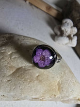 Load image into Gallery viewer, 1000043164