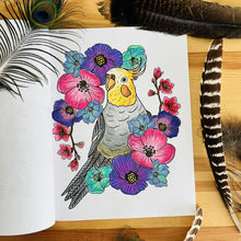 Load image into Gallery viewer, Karen Sue Studios - Soar, Books, Karen Sue Studios, Sacramento . Shop