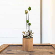 Load image into Gallery viewer, Marry Contrary Design & Decor - Mossy Meadow Centerpiece (small), Home Decor, Marry Contrary Design & Decor, Sacramento . Shop