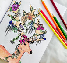 Load image into Gallery viewer, Karen Sue Studios- Life of the Wild, Books, Karen Sue Studios, Sacramento . Shop