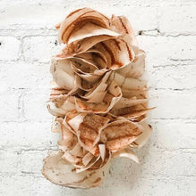 Load image into Gallery viewer, Erin Burgman-Nautilus, Sculpture, Erin Burgman, Atrium 916 - Sacramento.Shop