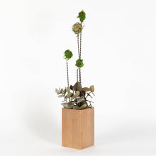 Load image into Gallery viewer, Marry Contrary Design & Decor - Mossy Meadow Centerpiece (small), Home Decor, Marry Contrary Design & Decor, Sacramento . Shop