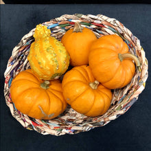 Load image into Gallery viewer, Paper Zen Designs - Oval Paper Weaved Container, Home Decor, Paper Zen Designs, Atrium 916 - Sacramento.Shop