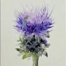 Load image into Gallery viewer, Thistle - Framed Watercolor on Cotton Paper, Wall Art, Allison Spreadborough, Atrium 916 - Sacramento.Shop
