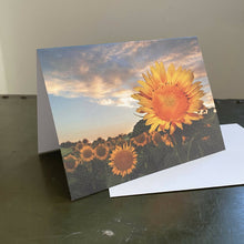 Load image into Gallery viewer, Maria Canta - Photography Greeting Cards, Stationery, Maria Canta, Atrium 916 - Sacramento.Shop