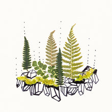 Load image into Gallery viewer, Marry Contrary Design & Decor - Tiny Rainforest - Wall Art, Wall Art, Marry Contrary Design & Decor, Sacramento . Shop