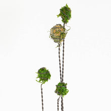 Load image into Gallery viewer, Marry Contrary Design & Decor - Mossy Meadow Centerpiece (small), Home Decor, Marry Contrary Design & Decor, Sacramento . Shop