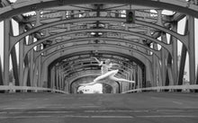 Load image into Gallery viewer, Mims Fine Art - Greeting Cards, Greeting Cards, Mims fine art, Atrium 916 - Sacramento.Shop