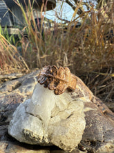 Load image into Gallery viewer, IMG_9416
