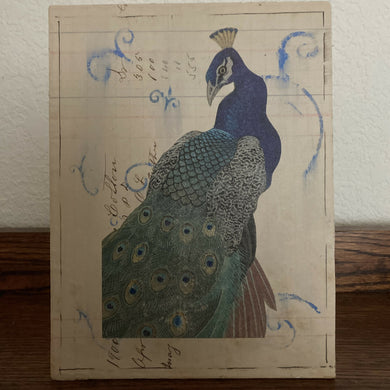 Pamela Herlihy - Peacock, Wall Art, Pamela Herlihy Art, Atrium 916 - Sacramento.Shop