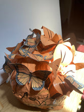 Load image into Gallery viewer, IMG_5372
