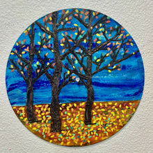 Load image into Gallery viewer, IMG_7602
