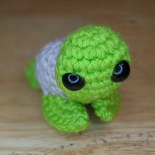 Load image into Gallery viewer, YarnPics - Turtle
