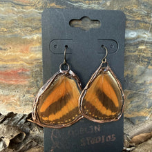Load image into Gallery viewer, Stone Goblin Studios - Real Butterfly Wing Earrings - hypoallergenic
