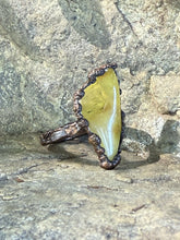 Load image into Gallery viewer, IMG_3086
