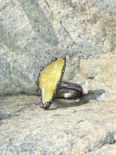 Load image into Gallery viewer, IMG_3085
