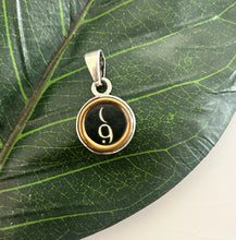 Load image into Gallery viewer, Fiorella Designs - Pendants
