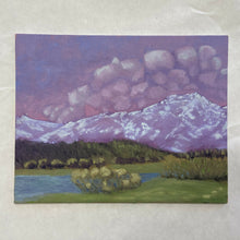 Load image into Gallery viewer, IMG_8426
