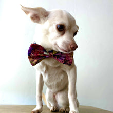 Load image into Gallery viewer, Maria Canta - Pet Accessories
