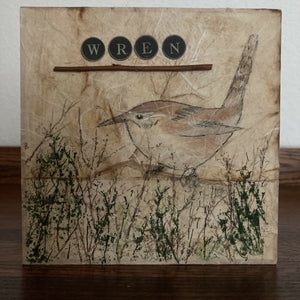 Pamela Herlihy - Marsh Wren, Wall Art, Pamela Herlihy Art, Atrium 916 - Sacramento.Shop