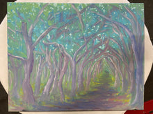 Load image into Gallery viewer, IMG_8437
