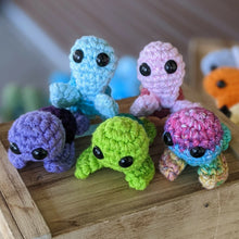 Load image into Gallery viewer, Yarnpics - Medium Buddies, , Atrium 916 - Sacramento.Shop, Atrium 916 - Sacramento.Shop
